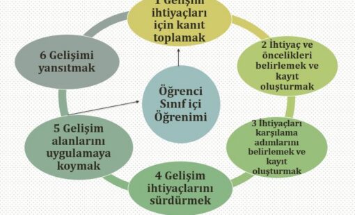 gelişim gelişim